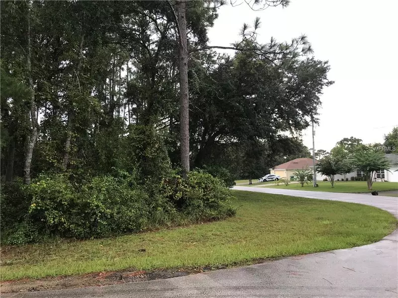 2950 OMAHA DR, Deltona, FL 32738