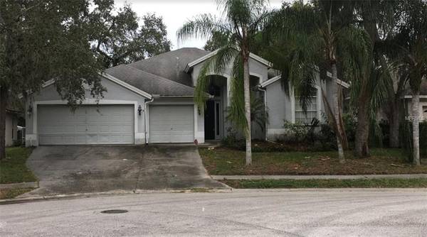 328 LIAM AVE, Tarpon Springs, FL 34689