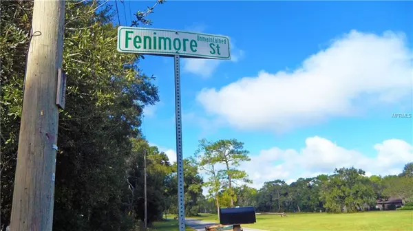 Mount Plymouth, FL 32776,Lot 10 FENIMORE ST