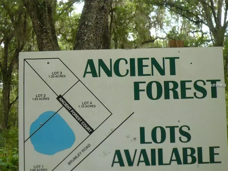 Chuluota, FL 32766,300 ANCIENT FOREST CT