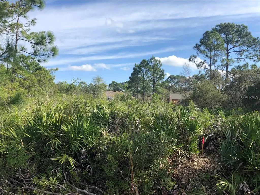 Debary, FL 32713,61 ERMA AVE