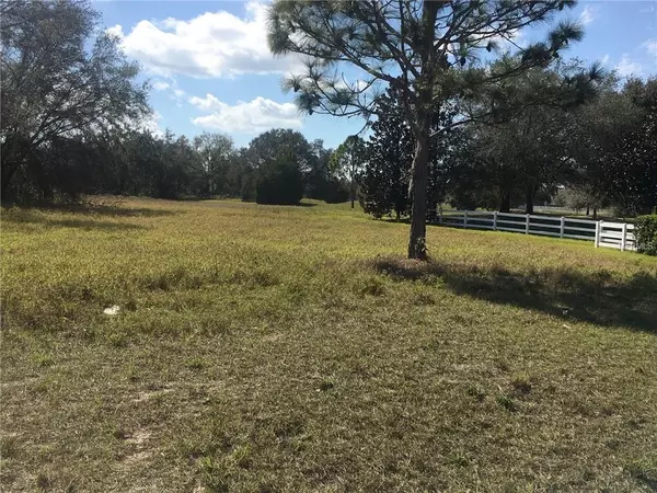 Groveland, FL 34736,Lot 24 CLUB DR