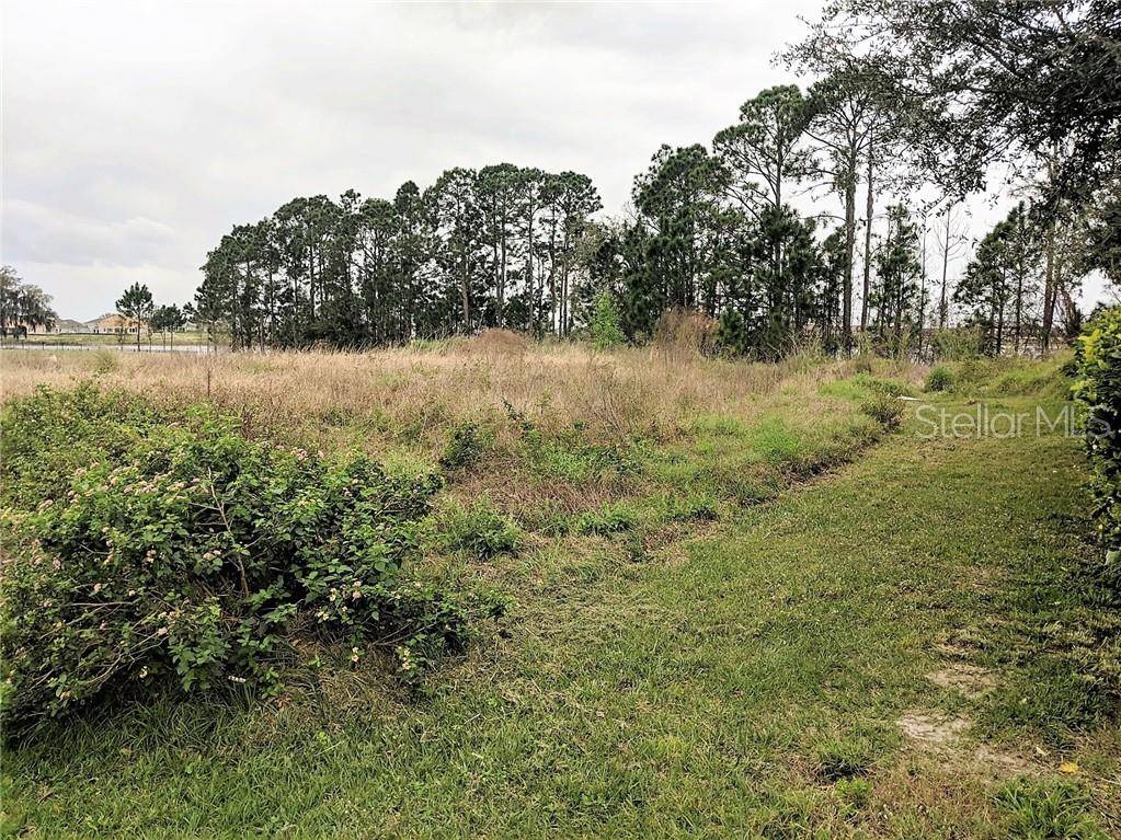 6717 POINT HANCOCK DR, Winter Garden, FL 34787