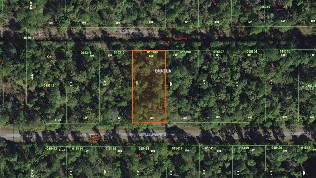 Indian Lake Estates, FL 33855,218 PLUMOSA DR