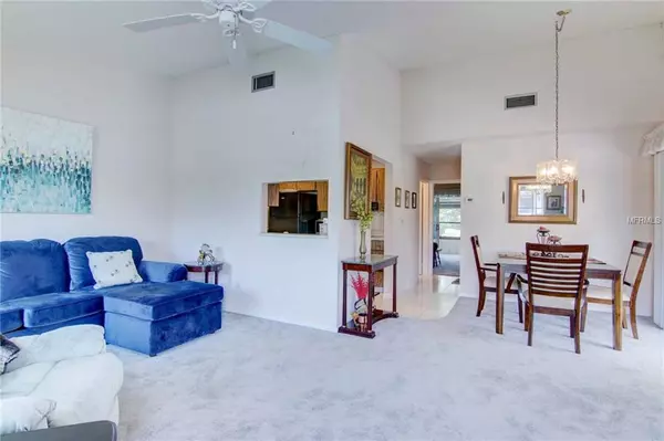 New Smyrna Beach, FL 32168,46 BOGEY CIR