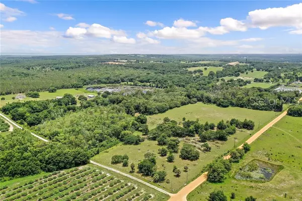 22428 N BUCKHILL RD, Howey In The Hills, FL 34737