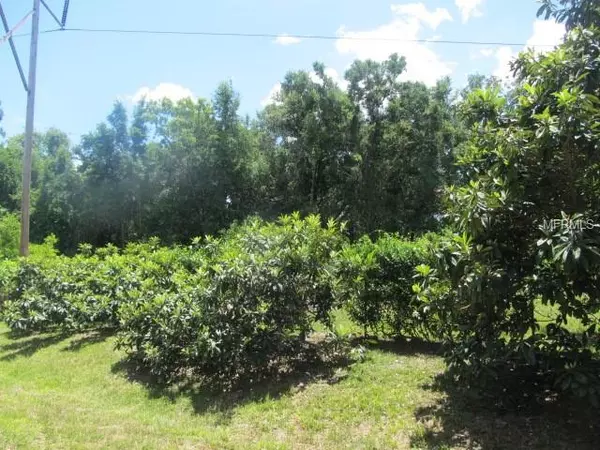 0 E ALPINE ST, Altamonte Springs, FL 32701