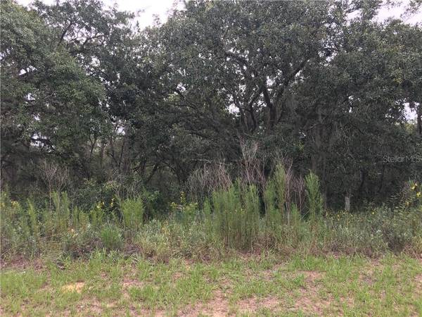 0 MALAUKA LOOP, Weirsdale, FL 32195