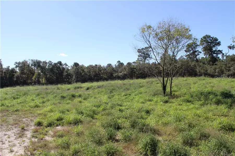 39715 E CEMETARY RD, Umatilla, FL 32784