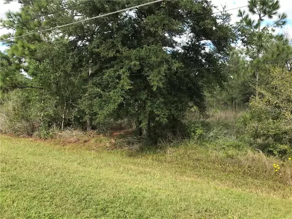 Orlando, FL 32833,Lot 233 QUARTERLY Pkwy