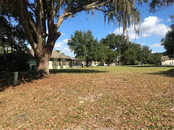 Umatilla, FL 32784,LORI CT