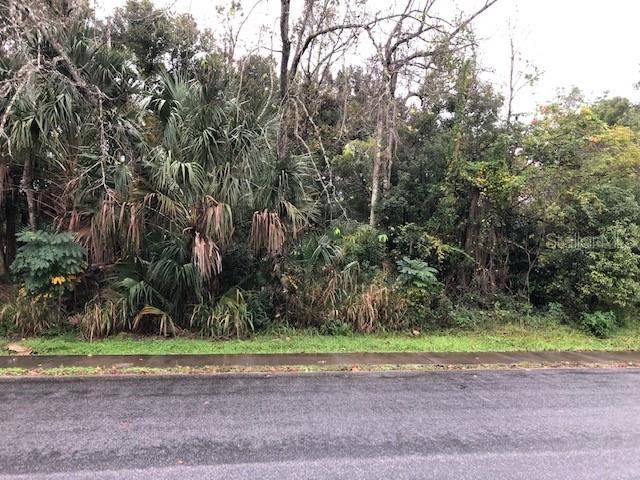 PINE AVE, Mount Dora, FL 32757