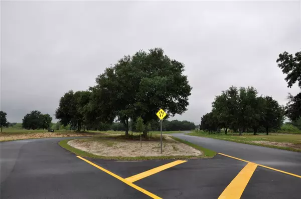 Clermont, FL 34711,OAK POINTE PRESERVE LOT 16