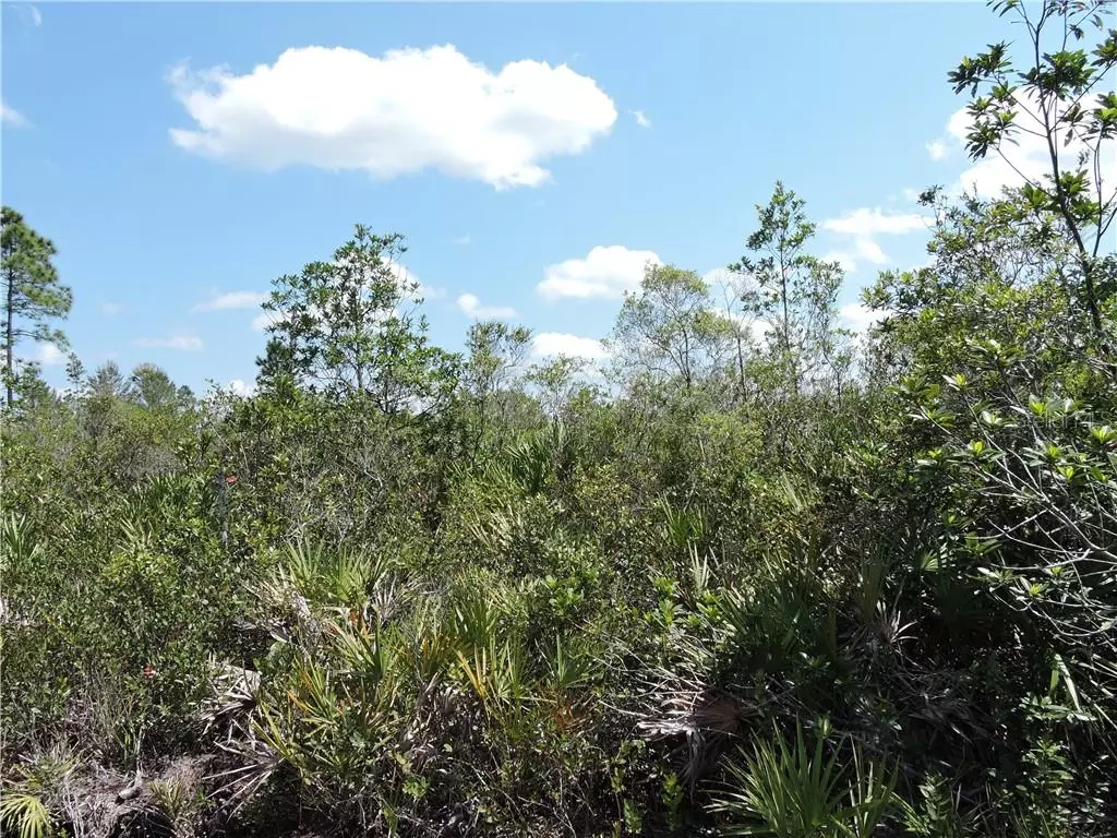 Lake Placid, FL 33852,201 DEWOLF AVE