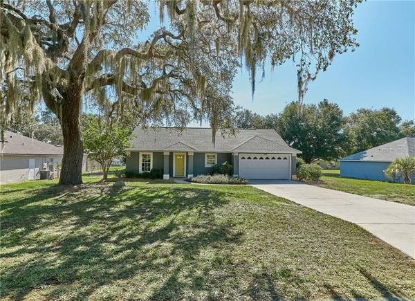 309 N DIXIE DR, Howey In The Hills, FL 34737