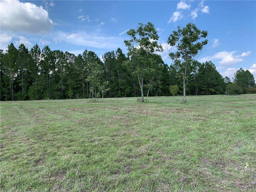 Lot 16 GREENGROVE BLVD, Clermont, FL 34714