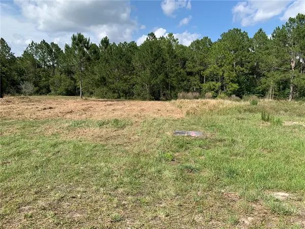 Clermont, FL 34714,Lot 25 GREENGROVE BLVD