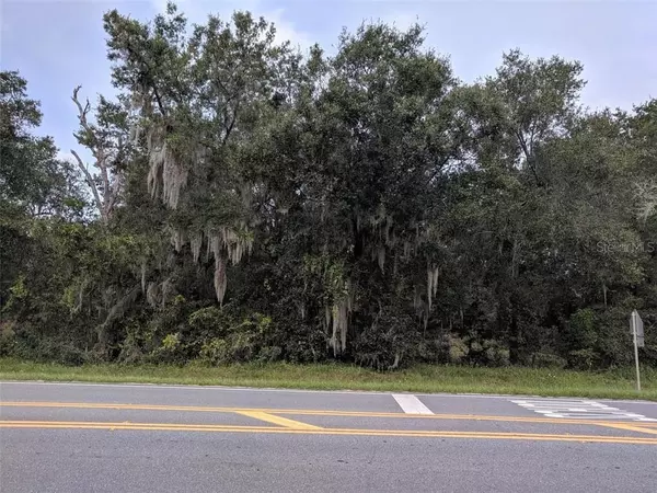 COUNTY ROAD 42, Paisley, FL 32767