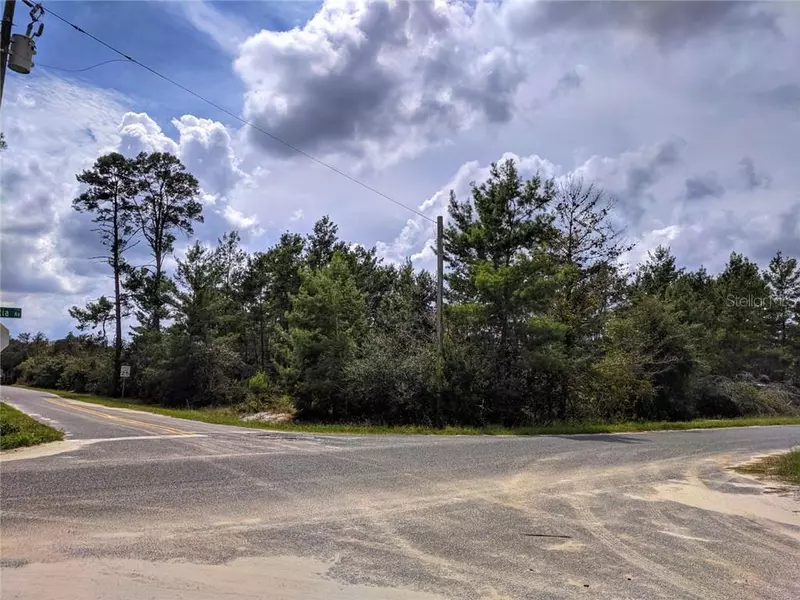 PINE ST, Paisley, FL 32767