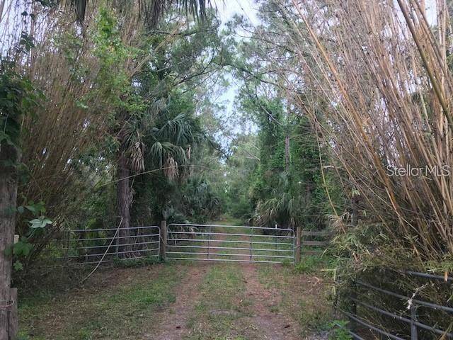 850 PELL RD, Osteen, FL 32764