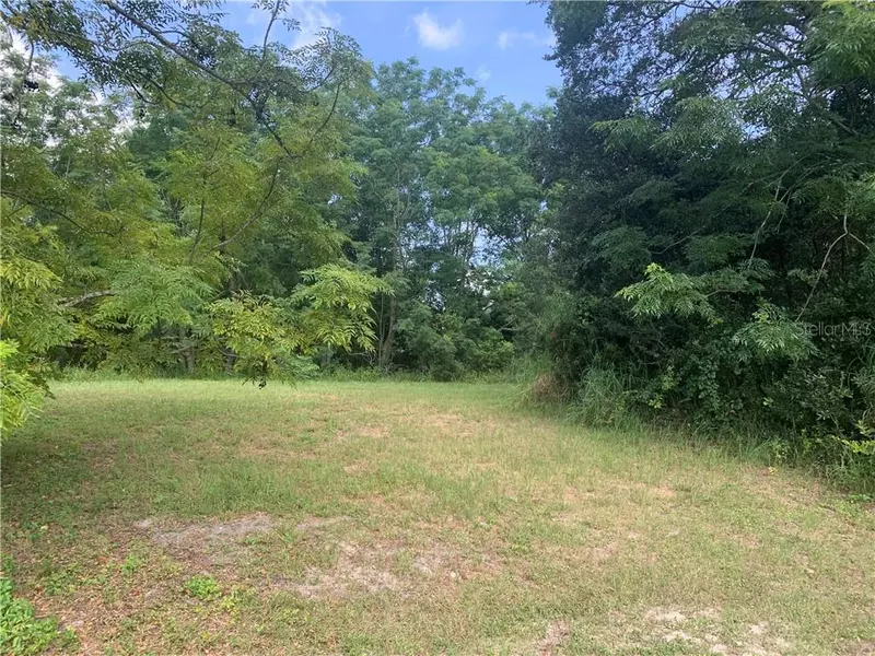 Lot 7 TOP OF THE HILL DR, Mount Dora, FL 32757