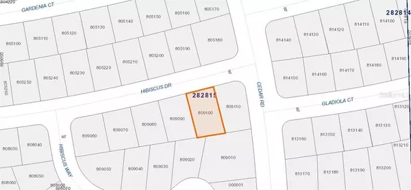 302 HIBISCUS DR, Poinciana, FL 34759