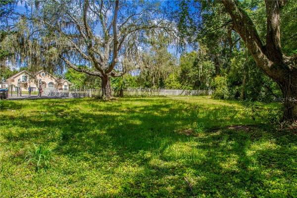 3149 WINIFRED AVE, Zellwood, FL 32798