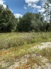 Clermont, FL 34714,OIL WELL RD