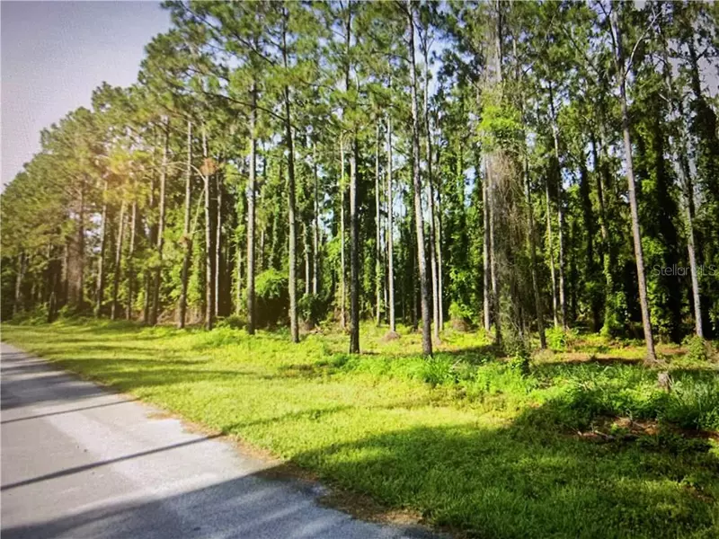 ANGELS LANDING CT, Clermont, FL 34715