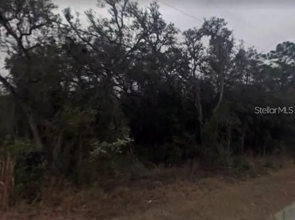 Inverness, FL 34453,3435 E CINDY LN