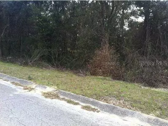 Inverness, FL 34452,1155 S CORNELL TER