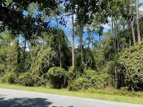 STORYS FORD RD,  Orlando,  FL 32832
