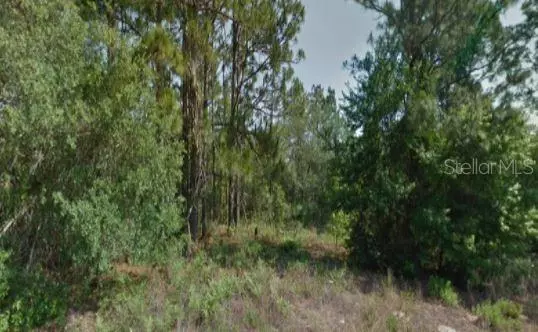 Citrus Springs, FL 34433,3175 W CAMILO DR