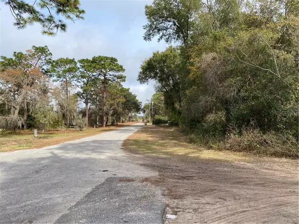 W NINTH AVE, Umatilla, FL 32784