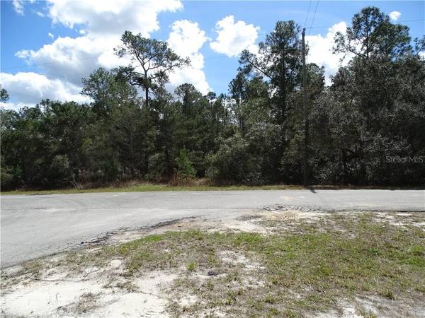 LOT 2 LARKSPUR AVE, EUSTIS FL, 32736, Eustis, FL 32736