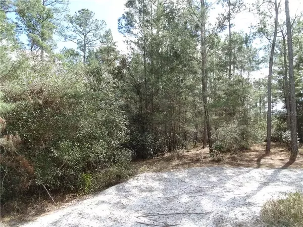 Eustis, FL 32736,LOT 2 LARKSPUR AVE, EUSTIS FL, 32736