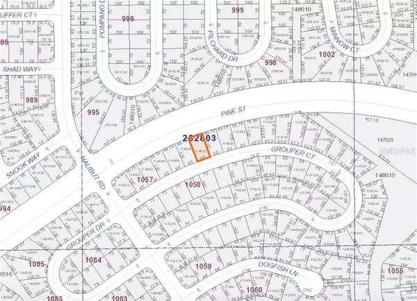 213 GROUPER CT, Poinciana, FL 34759