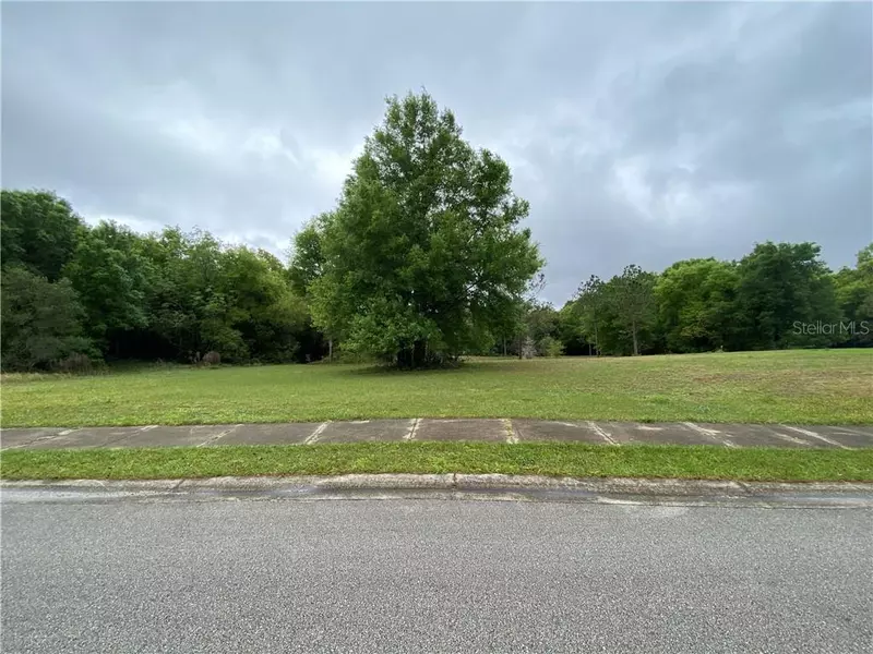 390 S VOLUSIA AVE, Lake Helen, FL 32744