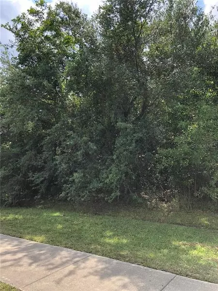 2308 SW SAVONA BLVD, Port Saint Lucie, FL 34953