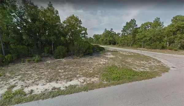 Citrus Springs, FL 34433,2898 W PINTADO DR