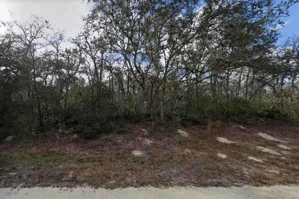 LEWIS LN, Webster, FL 33597