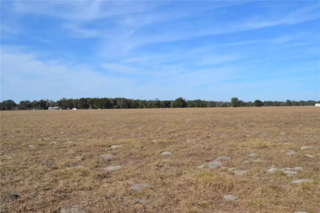 Lake Panasoffkee, FL 33538,CR 489