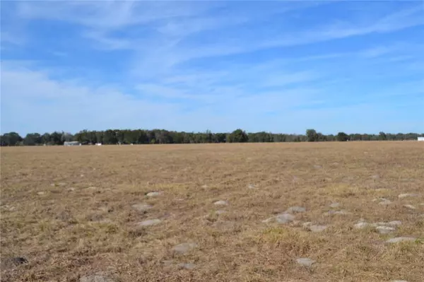 CR 489, Lake Panasoffkee, FL 33538