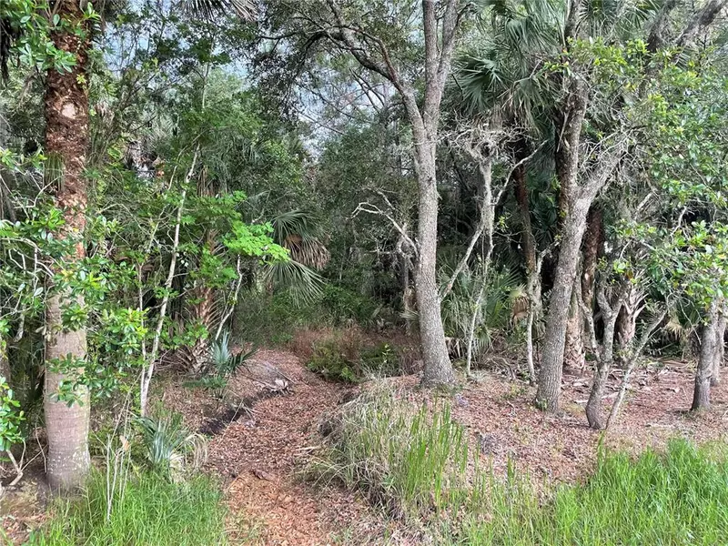 OSCEOLA RD, Geneva, FL 32732