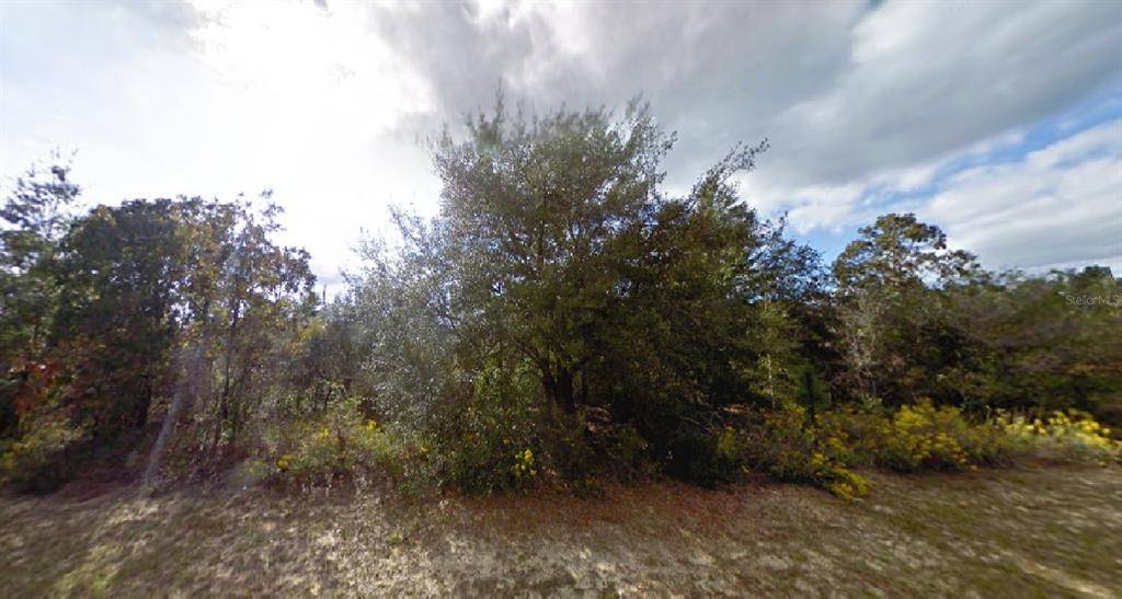 ADIRONDACK DR, Chipley, FL 32428