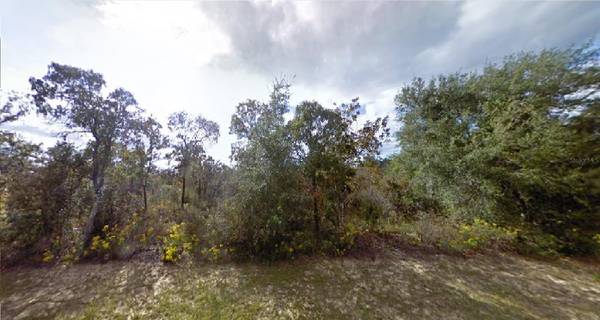 ADIRONDACK DR, Chipley, FL 32428