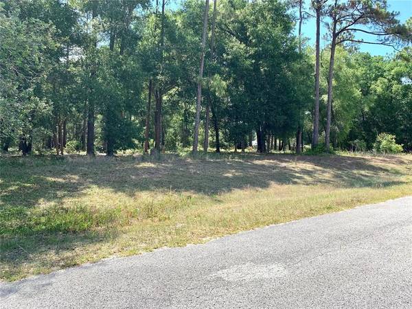 URICO GOLF RD, Lady Lake, FL 32159