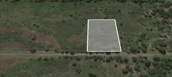 1825 BEAR BRYANT RD, Avon Park, FL 33825