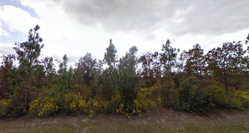 BRUNSWICK DR, Chipley, FL 32428