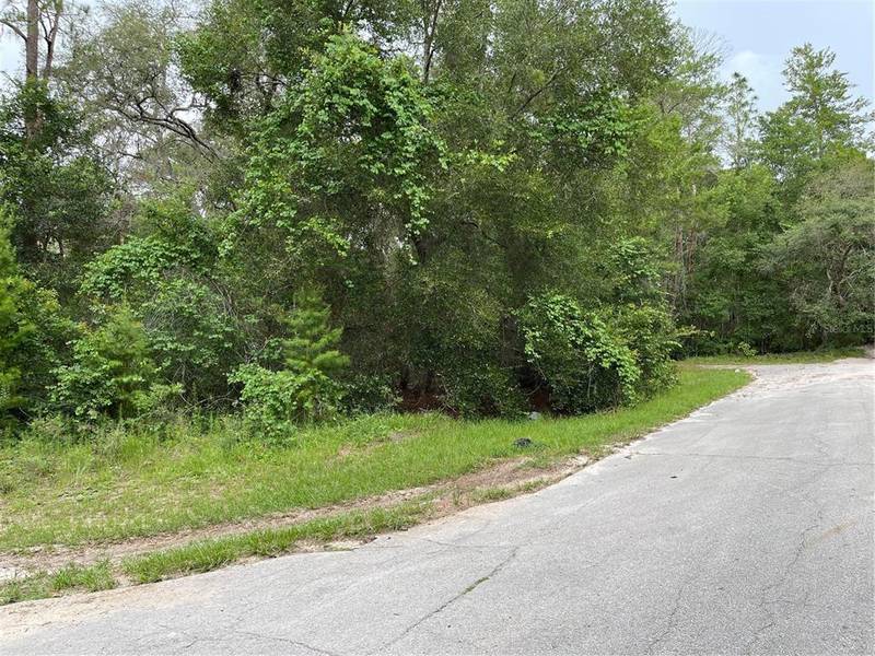 JASMINE RD, Altoona, FL 32702